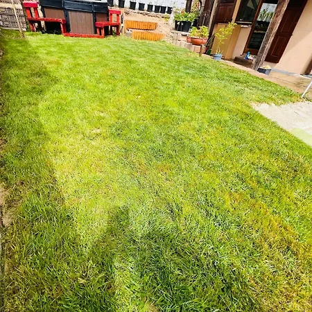 A 4-room Family House Only 6 Km From Basel